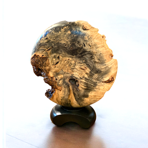 One-of-a-kind buckeye burl disc vase on black wood base with glass tube insert, signed by Warren Vinneau