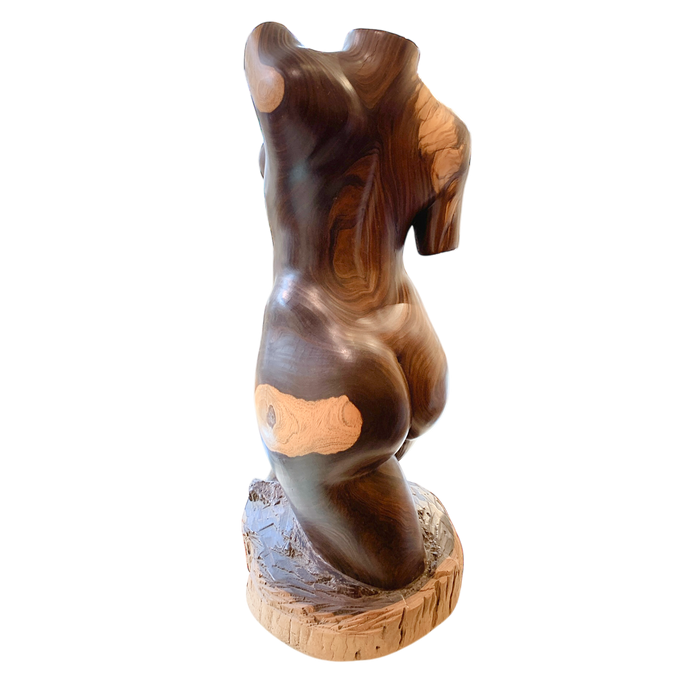 Large torso hand-carved from solid Jamaican Lignum Vitae.